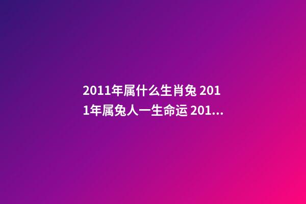 2011年属什么生肖兔 2011年属兔人一生命运 2011年属兔人一生命运，2011年出生的孩子是什么命-第1张-观点-玄机派